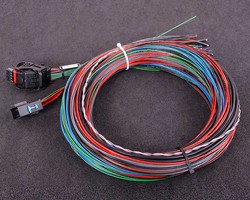 MaxxECU 1915 cable harness for MaxxECU SPORT ecus