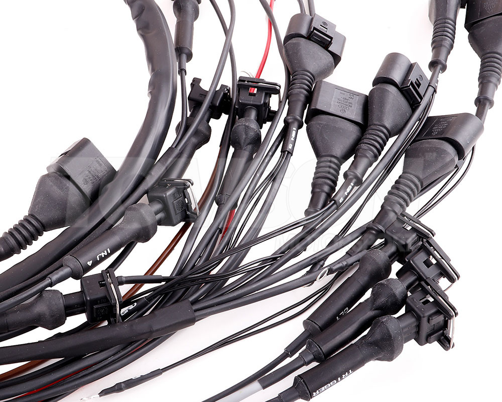MaxxECU 1950 terminated engine harness for Volvo T5 engines with