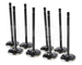 Supertech NIVN-1007-VE black nitrided valve Nissan Skyline R33, R34 2.6 RB26DETT +1.00 mm (intake)