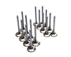 Brian Crower BC3010 stainless steel valves Honda Civic, CRX, Integra 1.6/1.8 VTEC B16A1, B16A2, B16A3, B16A5, B16A6, B18C1, B18C2, B18C3, B18C4, B18C5, B18C6, B18C7 +0.00 (intake)