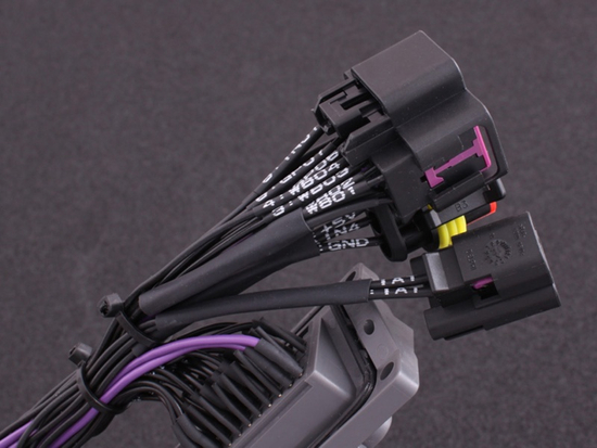 MaxxECU 1161 plugin adapter for Toyota Supra MkIV with MaxxECU ECU's