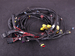 MaxxECU 2172 terminated engine harness for GM LS GEN3/4 with MaxxECU STREET, RACE, PRO ECU's