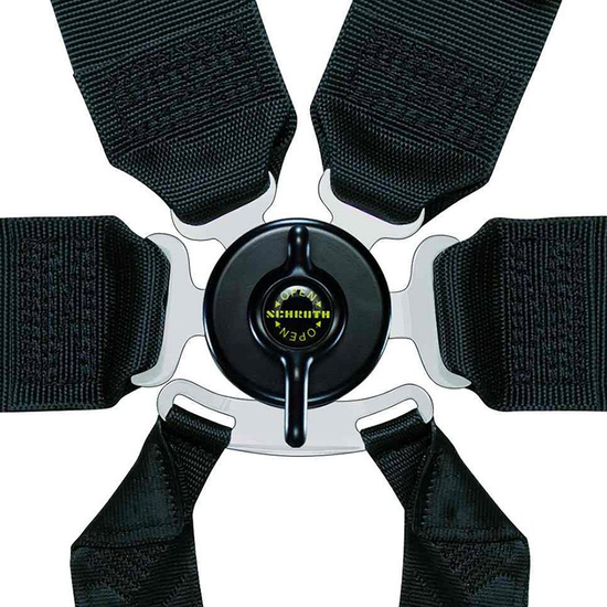 Schroth Profi III-6 6-Point Harness FIA