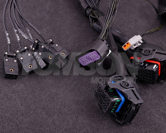 Adapter do połączenia seryjnej wiązki silnika MaxxECU 1902 Ford Focus RS/ST 2010 (ME 9.0) z komputerami MaxxECU RACE